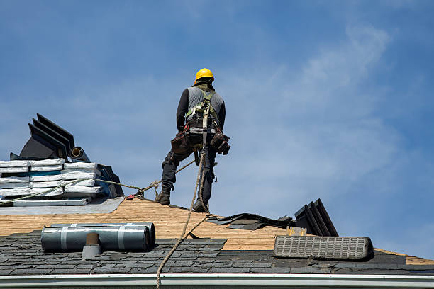 Professional Roof Replacement technician working in Woodstock, VA